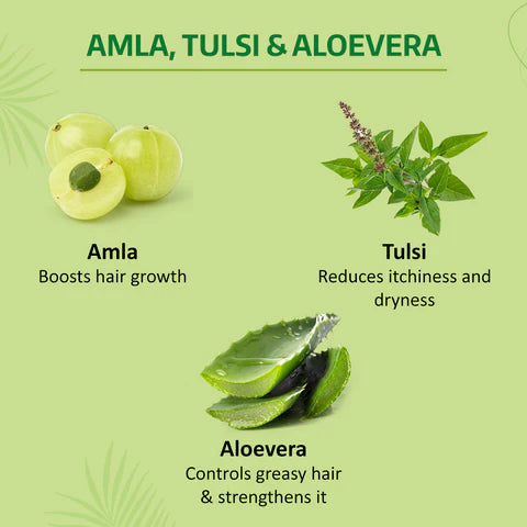 Nyle Amla Tulsi Shampoo – Hair Growth Scalp Care