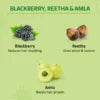 Nyle Reetha Black Berry Shampoo – Gentle Cleansing Shine
