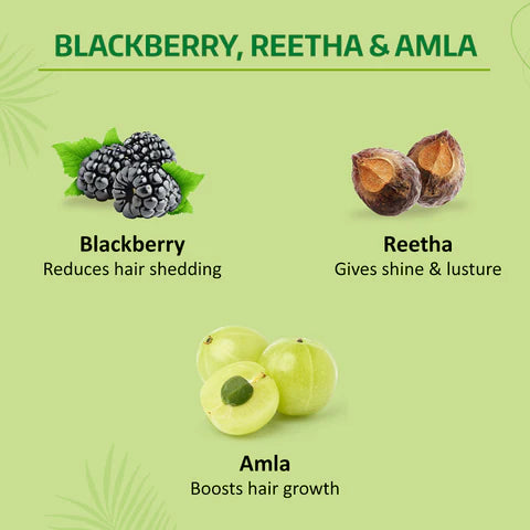 Nyle Reetha Black Berry Shampoo – Gentle Cleansing Shine