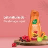 Nyle Hibiscus & Shikakai Shampoo