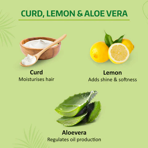 Nyle Lemon & Curd Shampoo – Oil Control & Refreshment