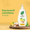 Nyle Lemon & Curd Shampoo – Oil Control & Refreshment