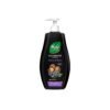 Nyle Reetha Black Berry Shampoo – Gentle Cleansing Shine