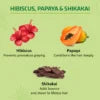 Nyle Hibiscus &amp; Shikakai Shampoo